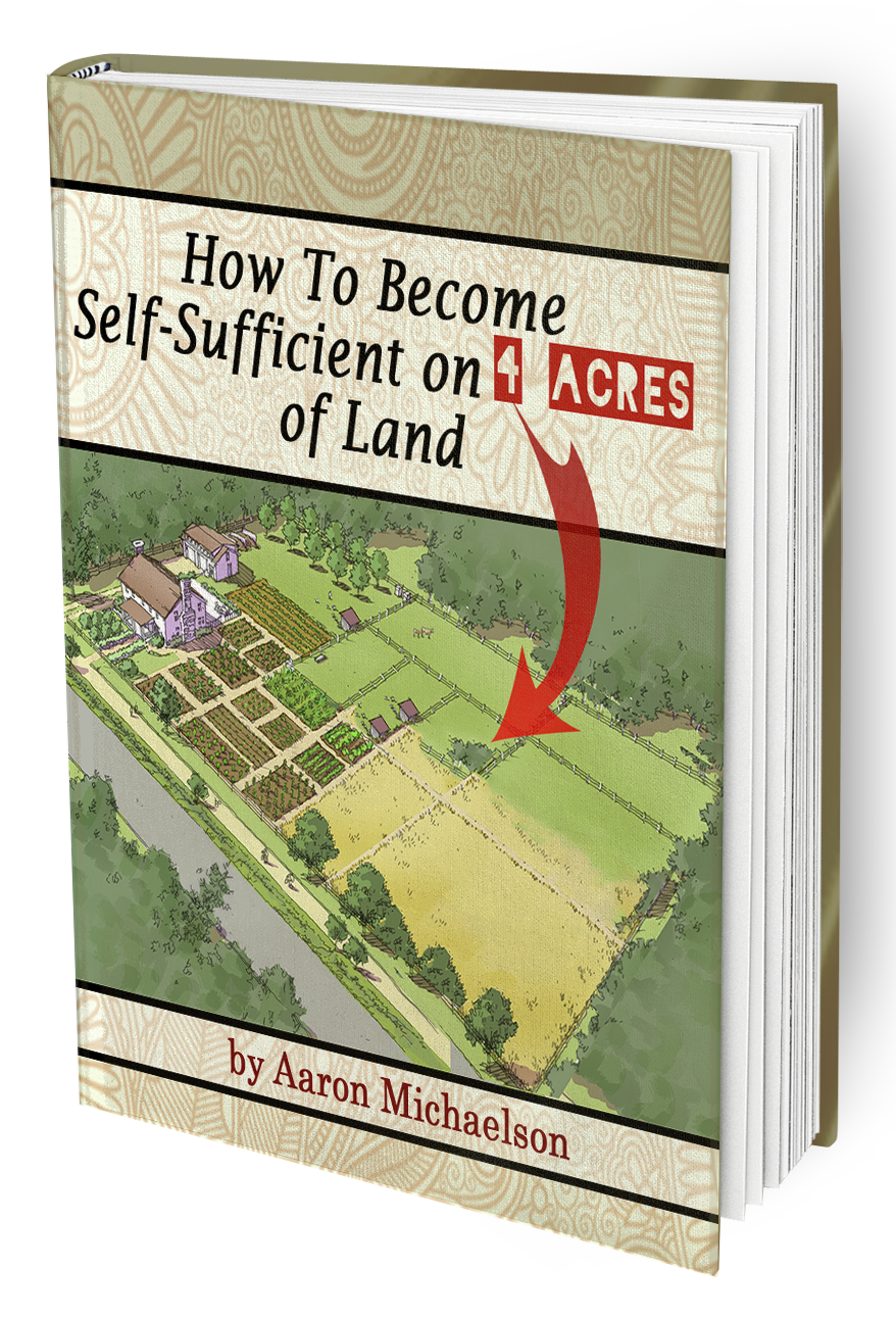 How to become self-sufficient on 4 acres of land 